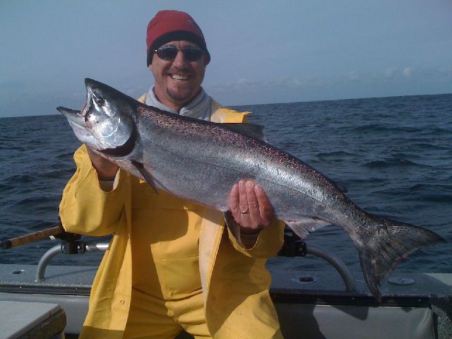 Look at this Beautiful King Salmon
