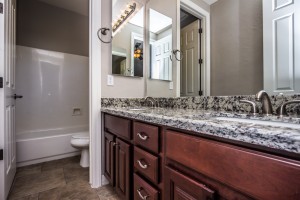 En Suite Bath with new Stone Counters